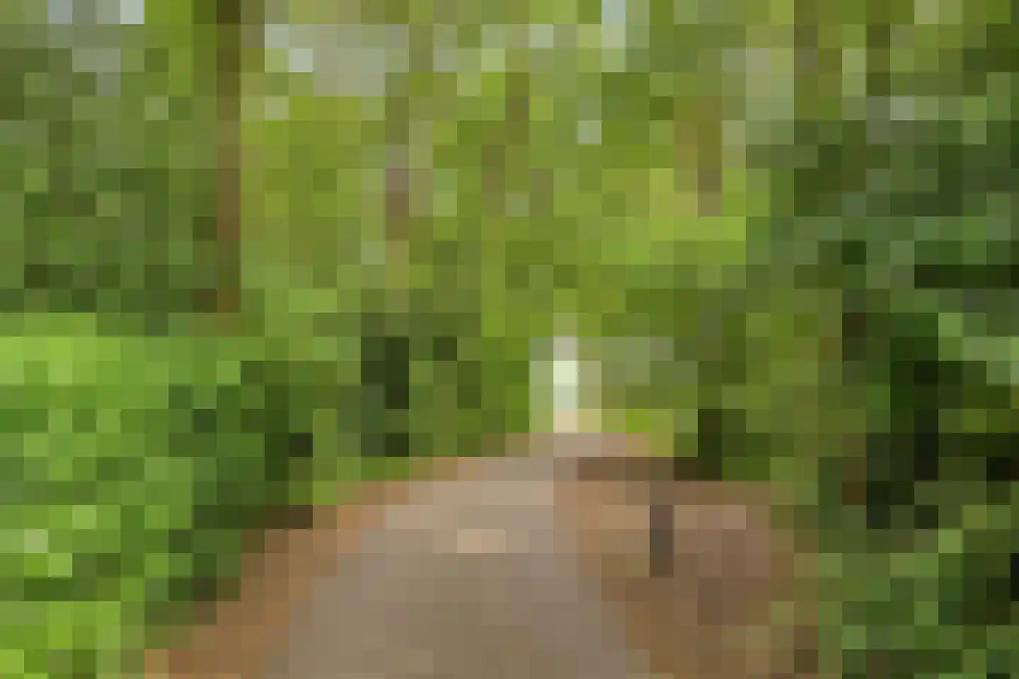 De Valouwe 2 Appelscha thumbnail 47