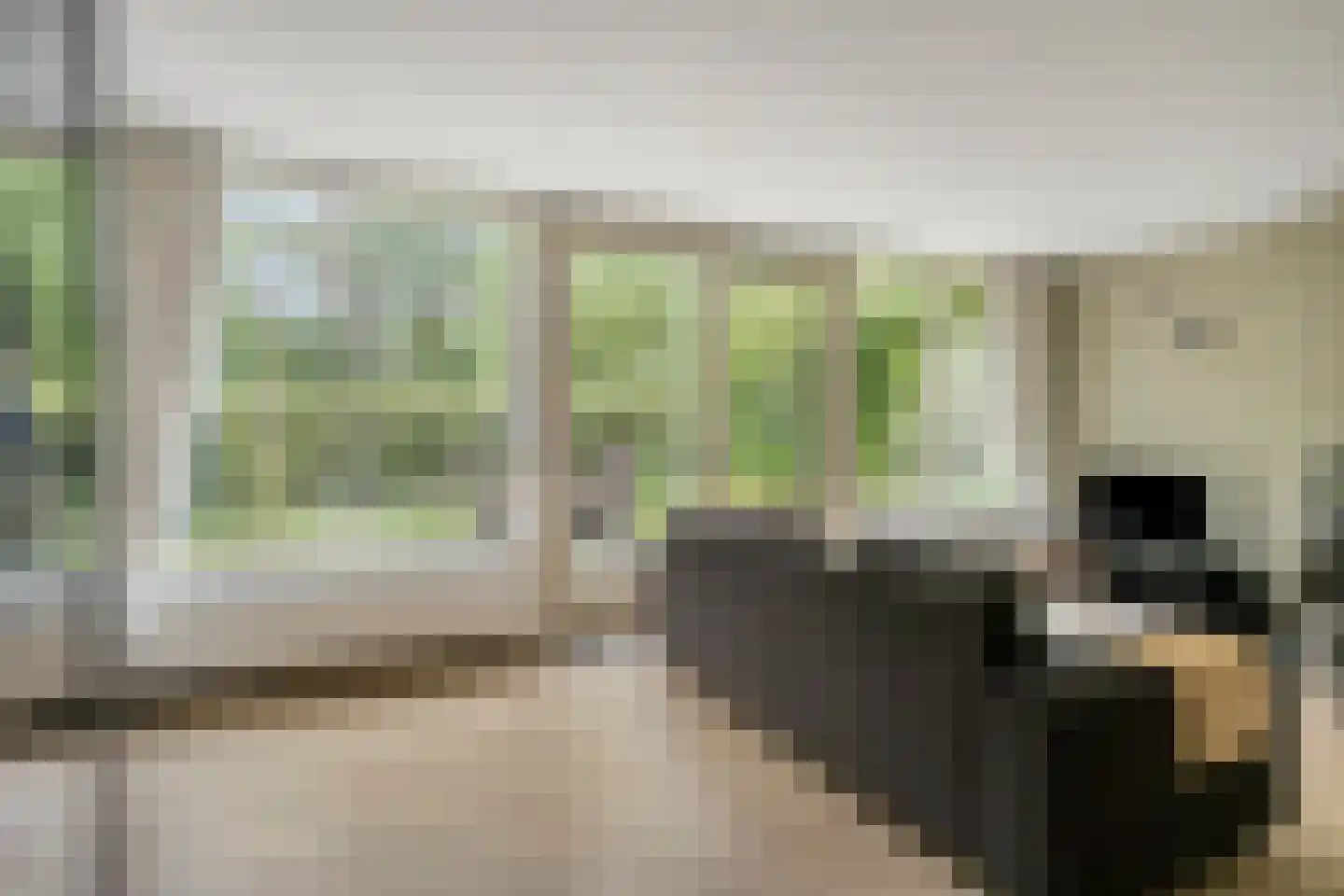 De Valouwe 2 Appelscha thumbnail 7