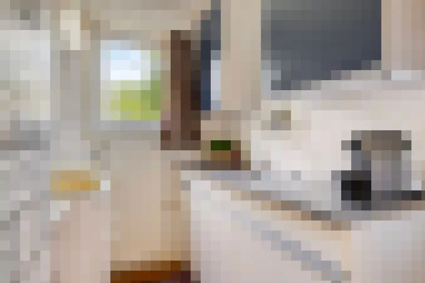 De Valouwe 26 Appelscha thumbnail 12