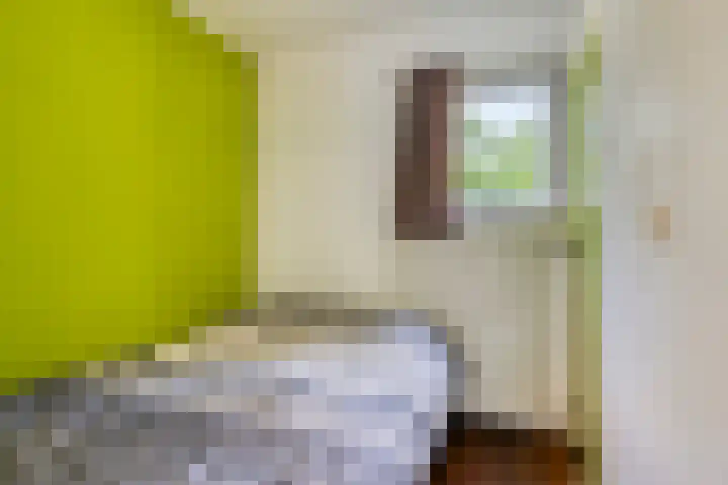 De Valouwe 26 Appelscha thumbnail 18