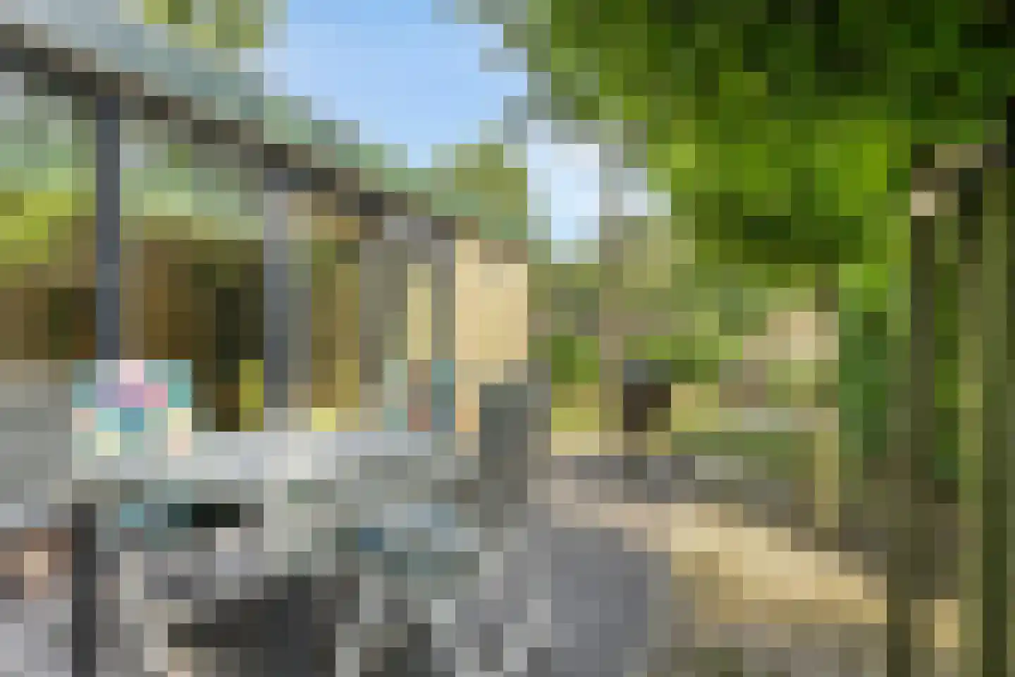 De Valouwe 26 Appelscha thumbnail 22