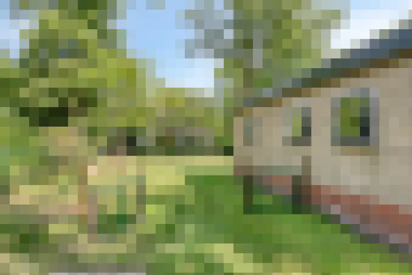 De Valouwe 26 Appelscha thumbnail 23