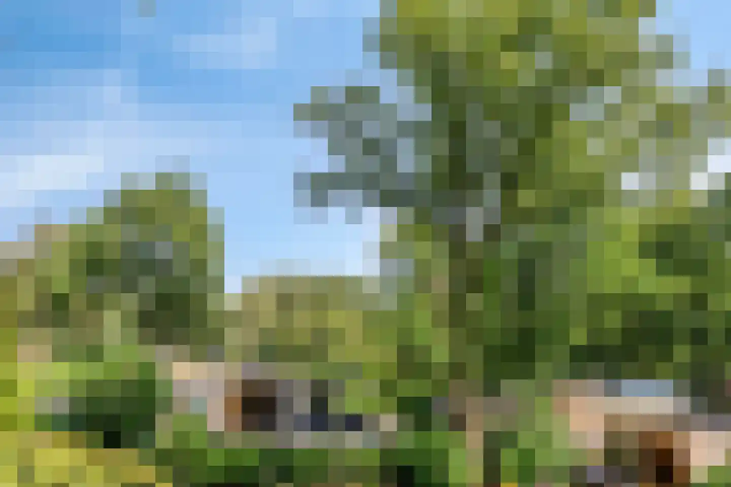 De Valouwe 26 Appelscha thumbnail 24