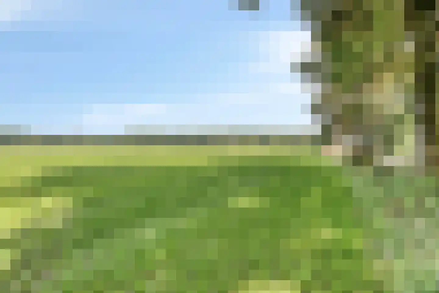 De Valouwe 26 Appelscha thumbnail 26