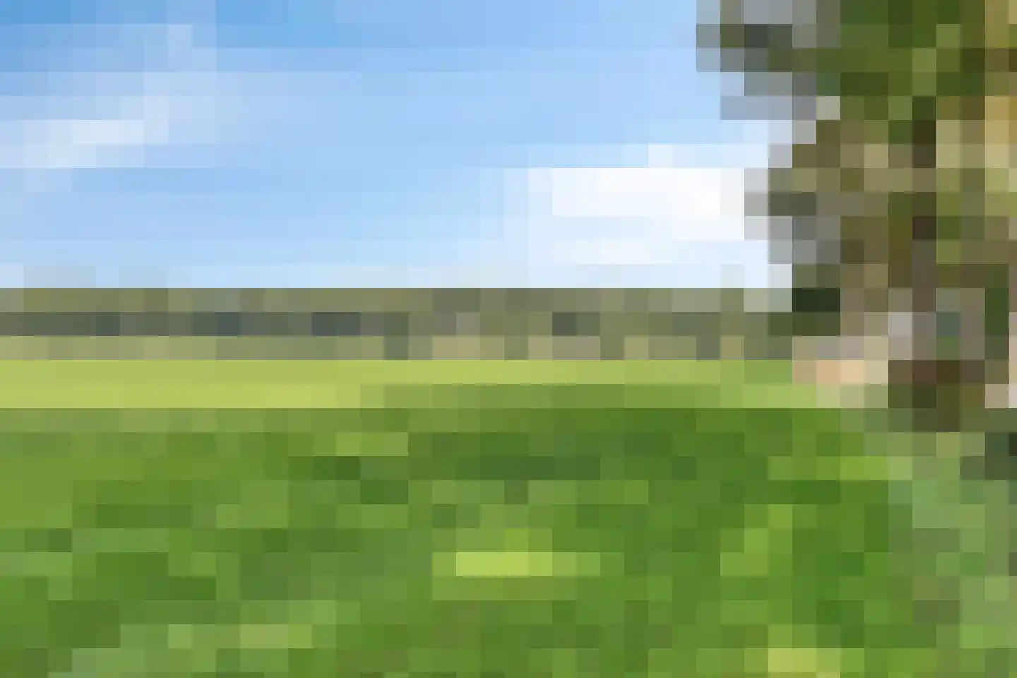 De Valouwe 26 Appelscha thumbnail 27