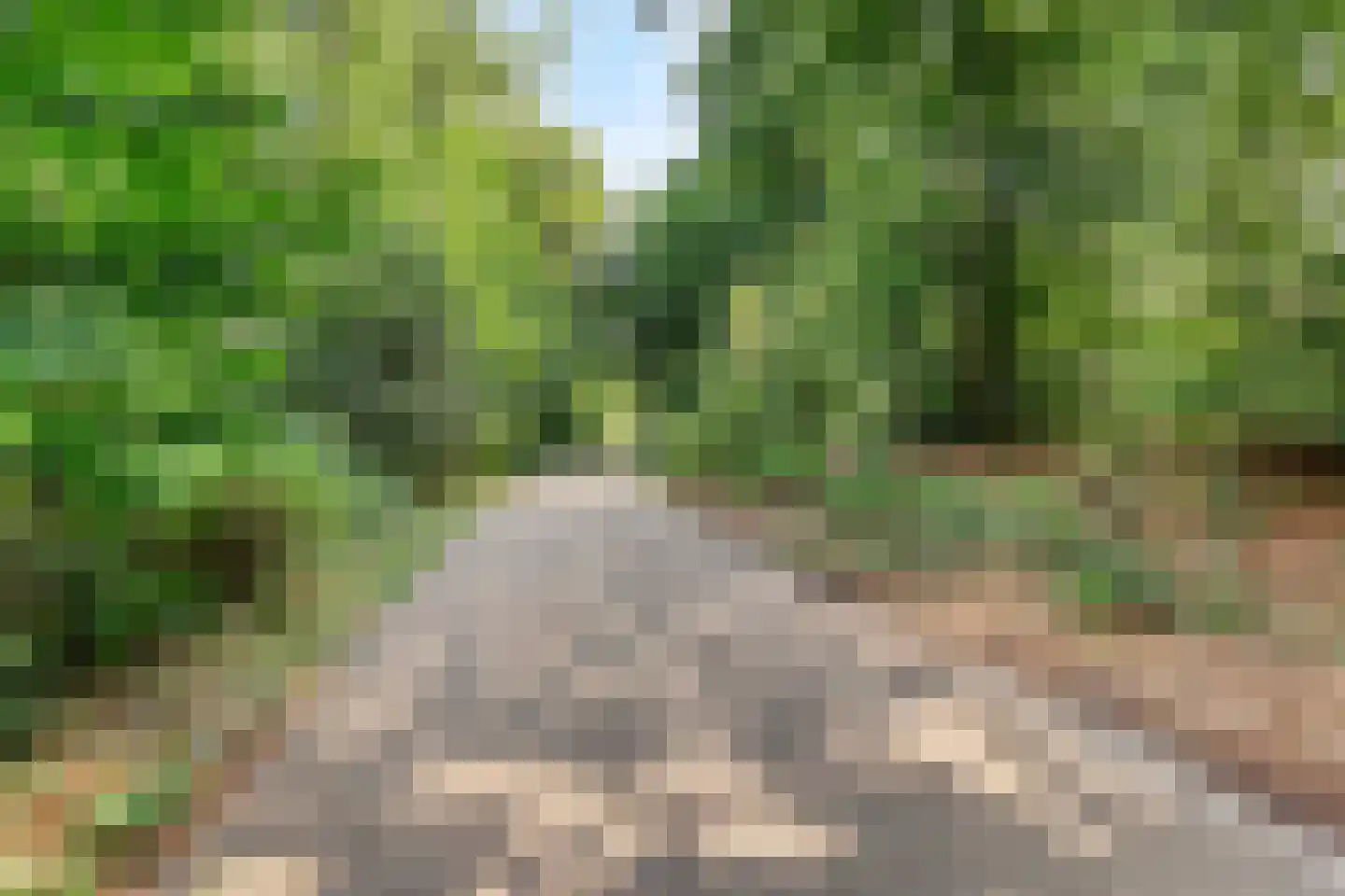 De Valouwe 26 Appelscha thumbnail 28