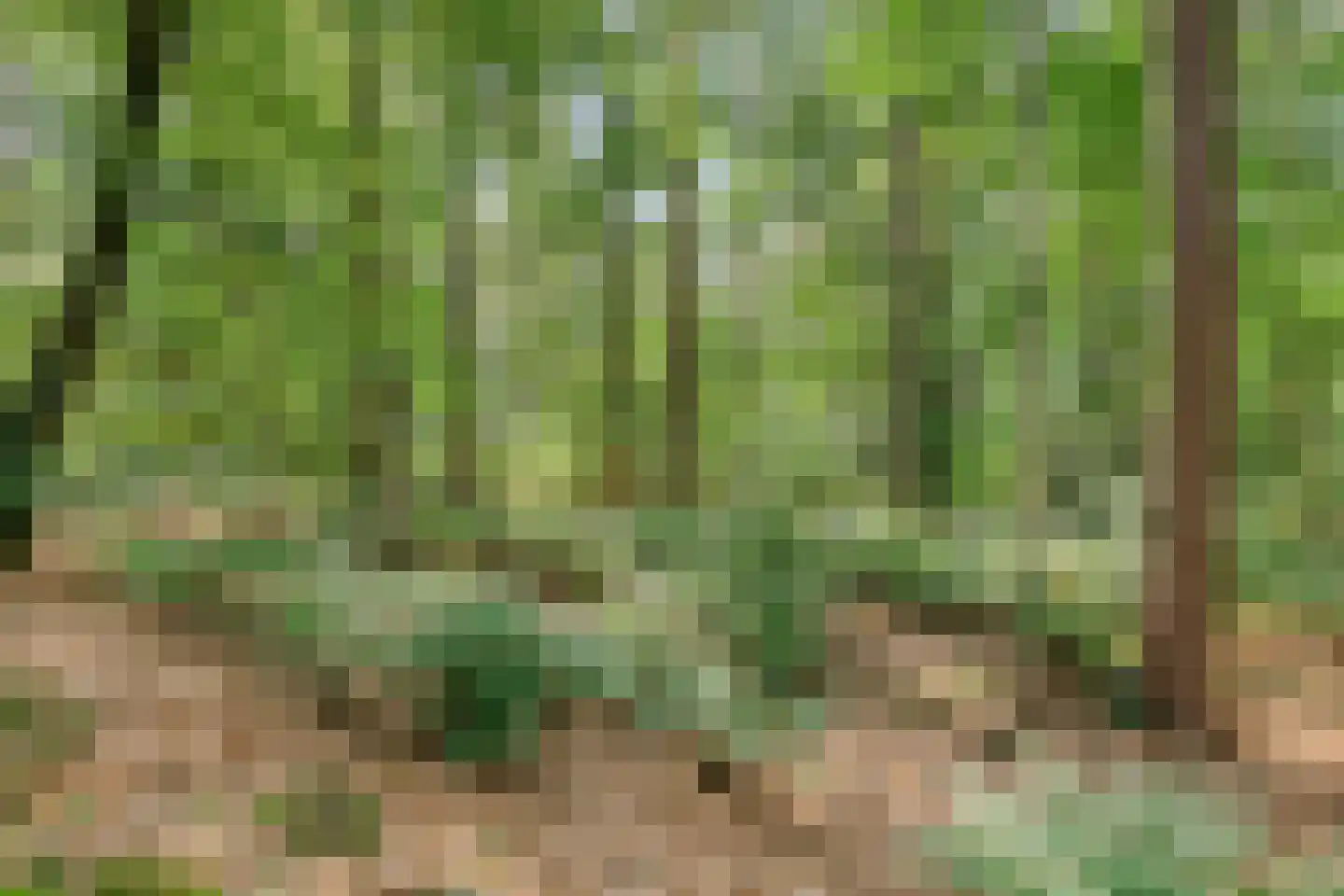 De Valouwe 26 Appelscha thumbnail 29