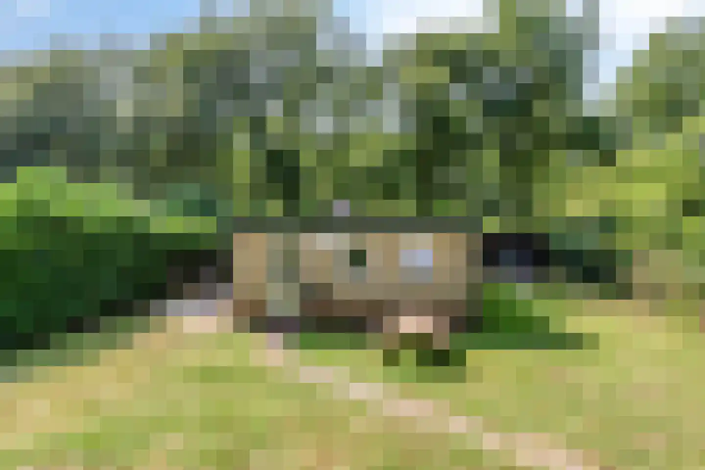 De Valouwe 26 Appelscha thumbnail 5