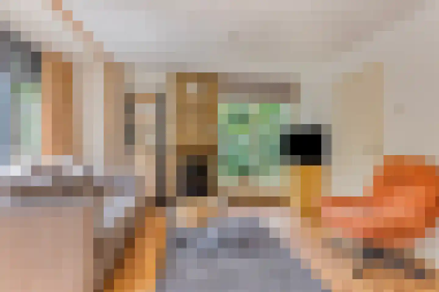 De Valouwe 26 Appelscha thumbnail 8