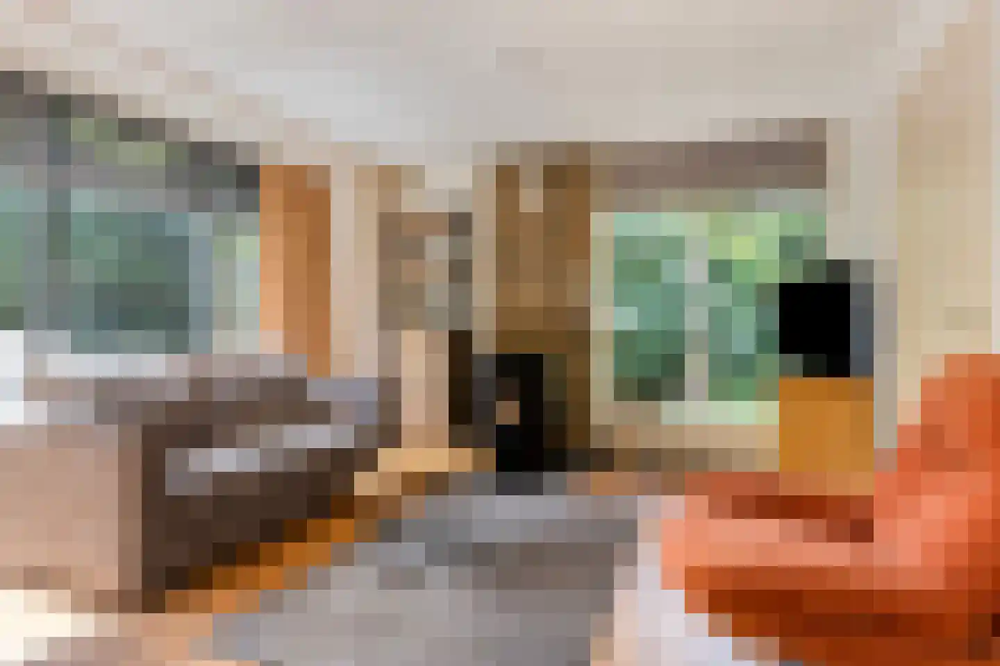 De Valouwe 26 Appelscha thumbnail 9