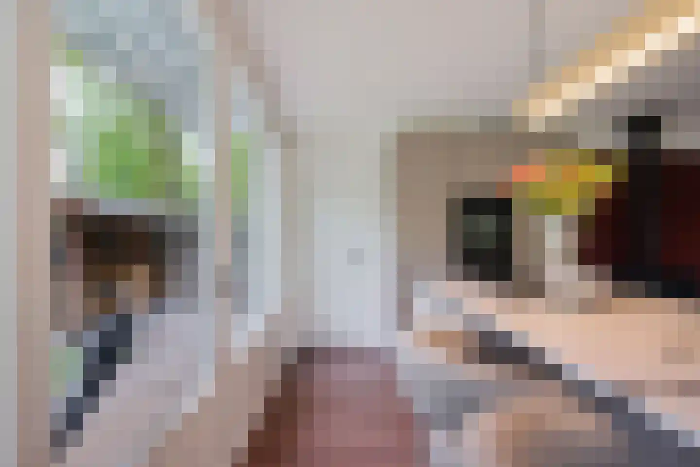 De Valouwe 30 Appelscha thumbnail 13