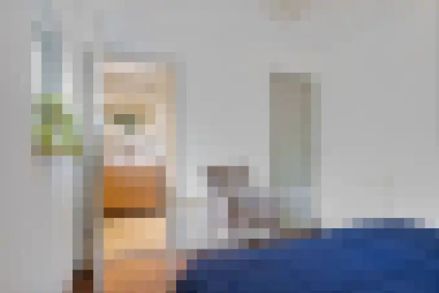 De Valouwe 30 Appelscha thumbnail 18