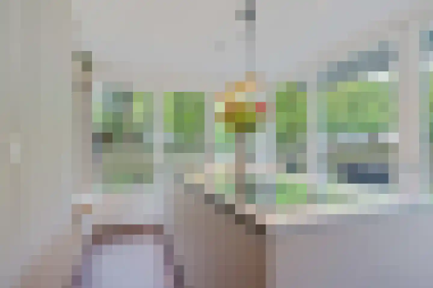 De Valouwe 30 Appelscha foto 2