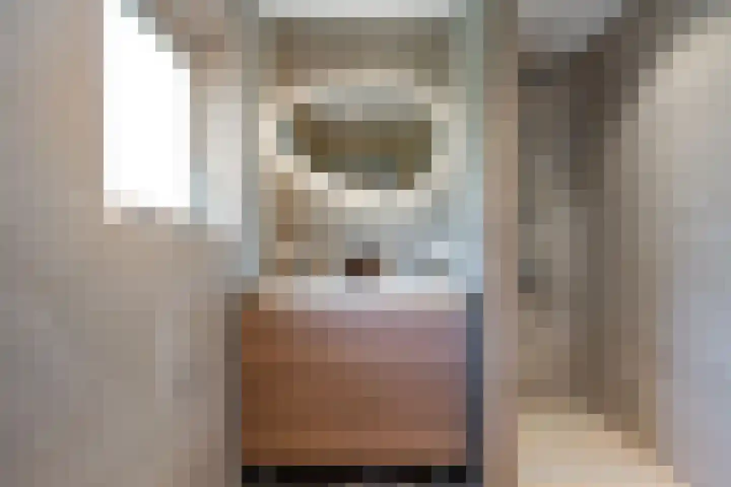 De Valouwe 30 Appelscha foto 3