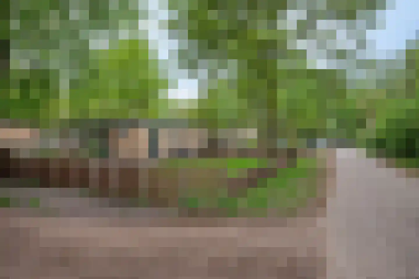 De Valouwe 30 Appelscha thumbnail 4