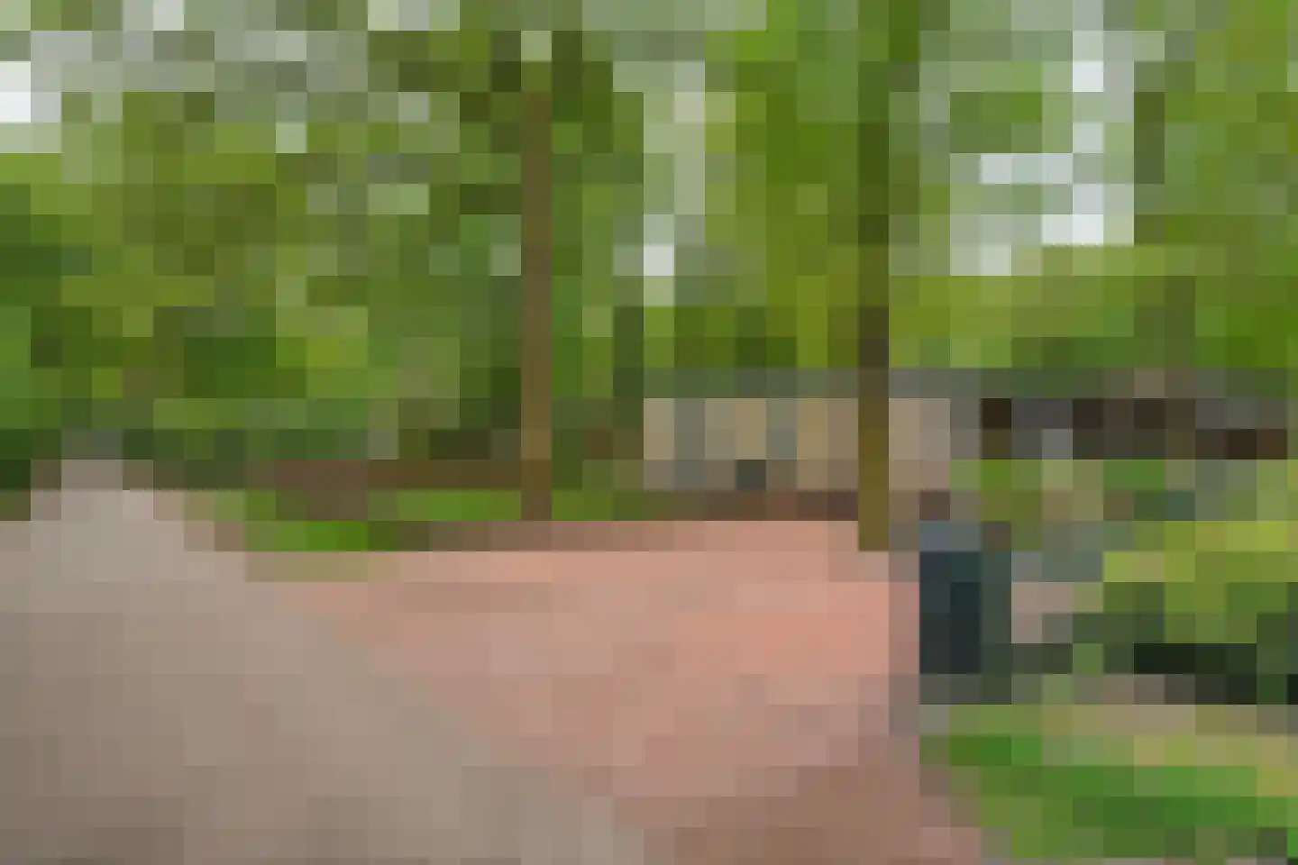 De Valouwe 30 Appelscha thumbnail 5