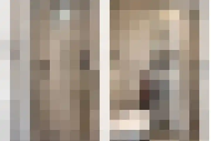 De Valouwe 51 Appelscha thumbnail 10