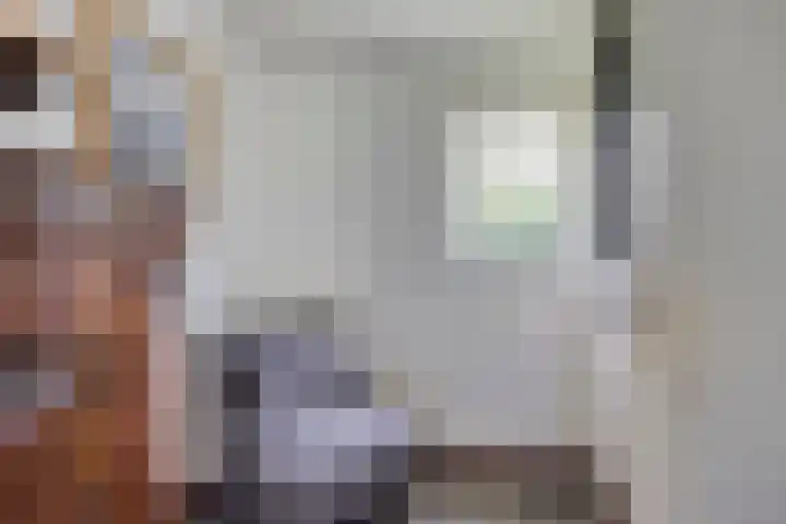 De Valouwe 51 Appelscha thumbnail 11