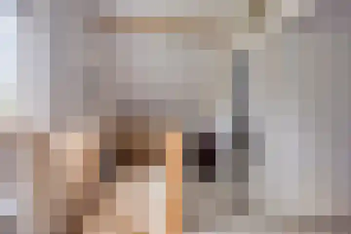 De Valouwe 51 Appelscha thumbnail 13