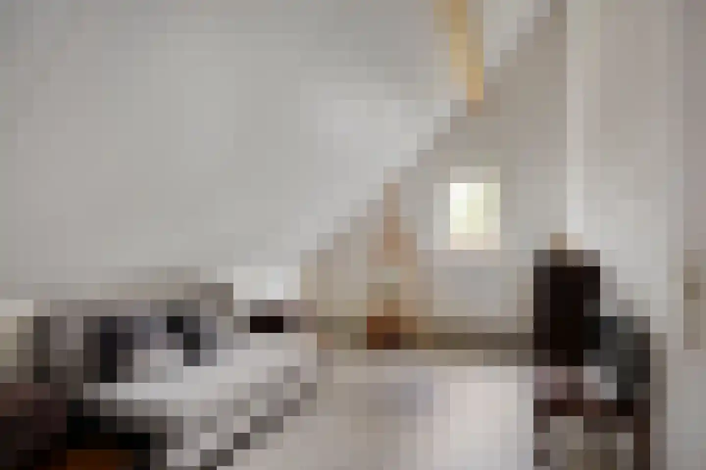 De Valouwe 51 Appelscha thumbnail 15