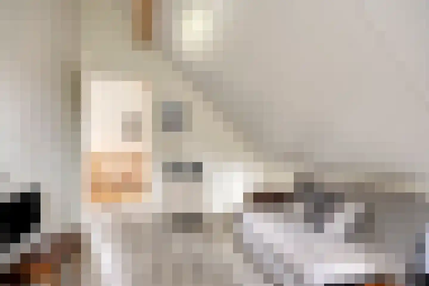 De Valouwe 51 Appelscha thumbnail 16