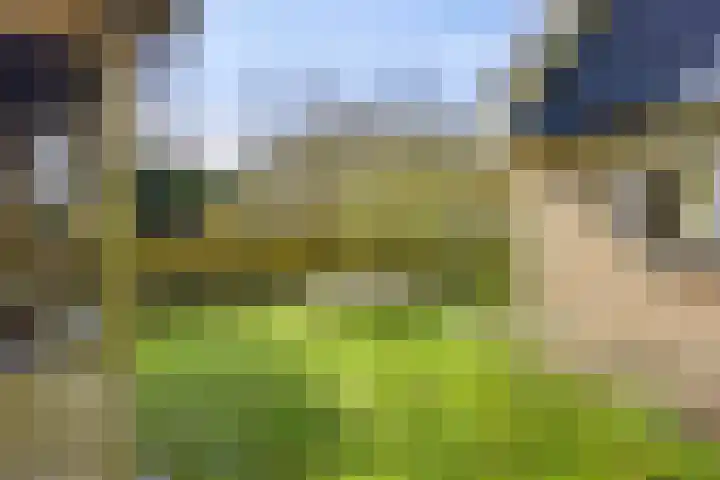 De Valouwe 51 Appelscha thumbnail 17