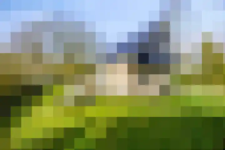 De Valouwe 51 Appelscha thumbnail 18