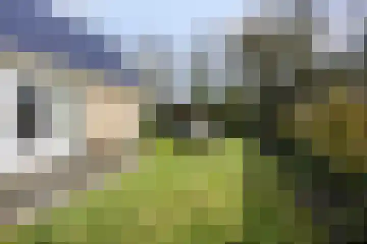 De Valouwe 51 Appelscha thumbnail 19