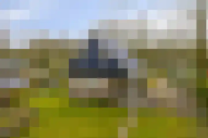 De Valouwe 51 Appelscha thumbnail 20