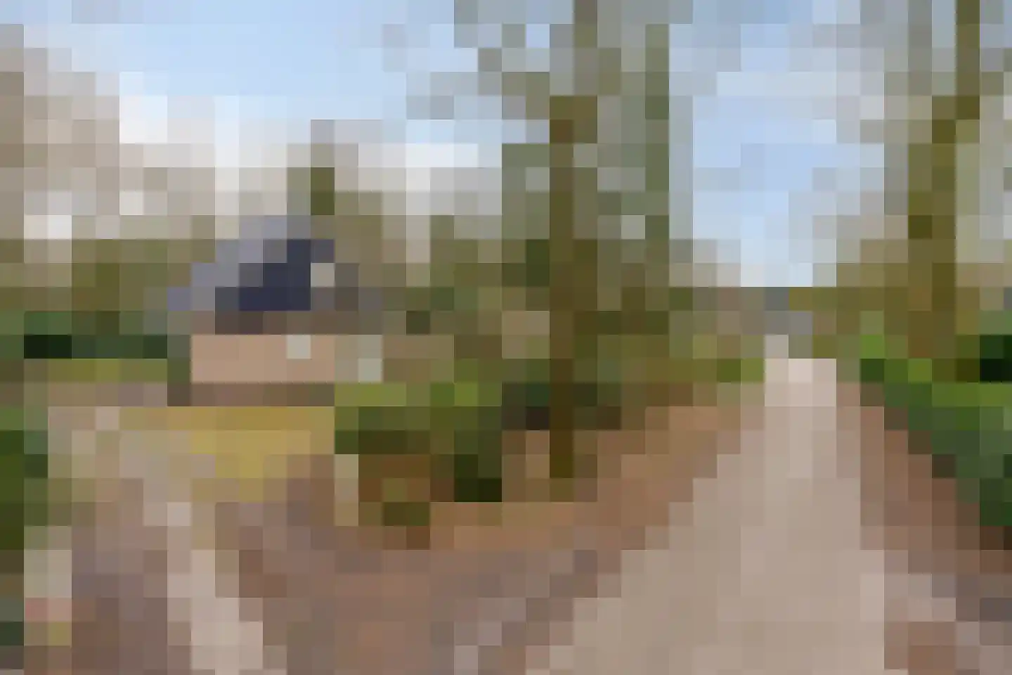 De Valouwe 51 Appelscha thumbnail 21