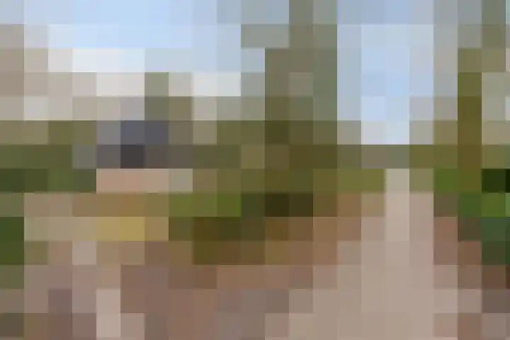De Valouwe 51 Appelscha thumbnail 21