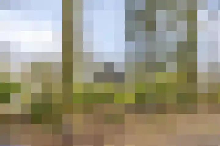 De Valouwe 51 Appelscha thumbnail 22