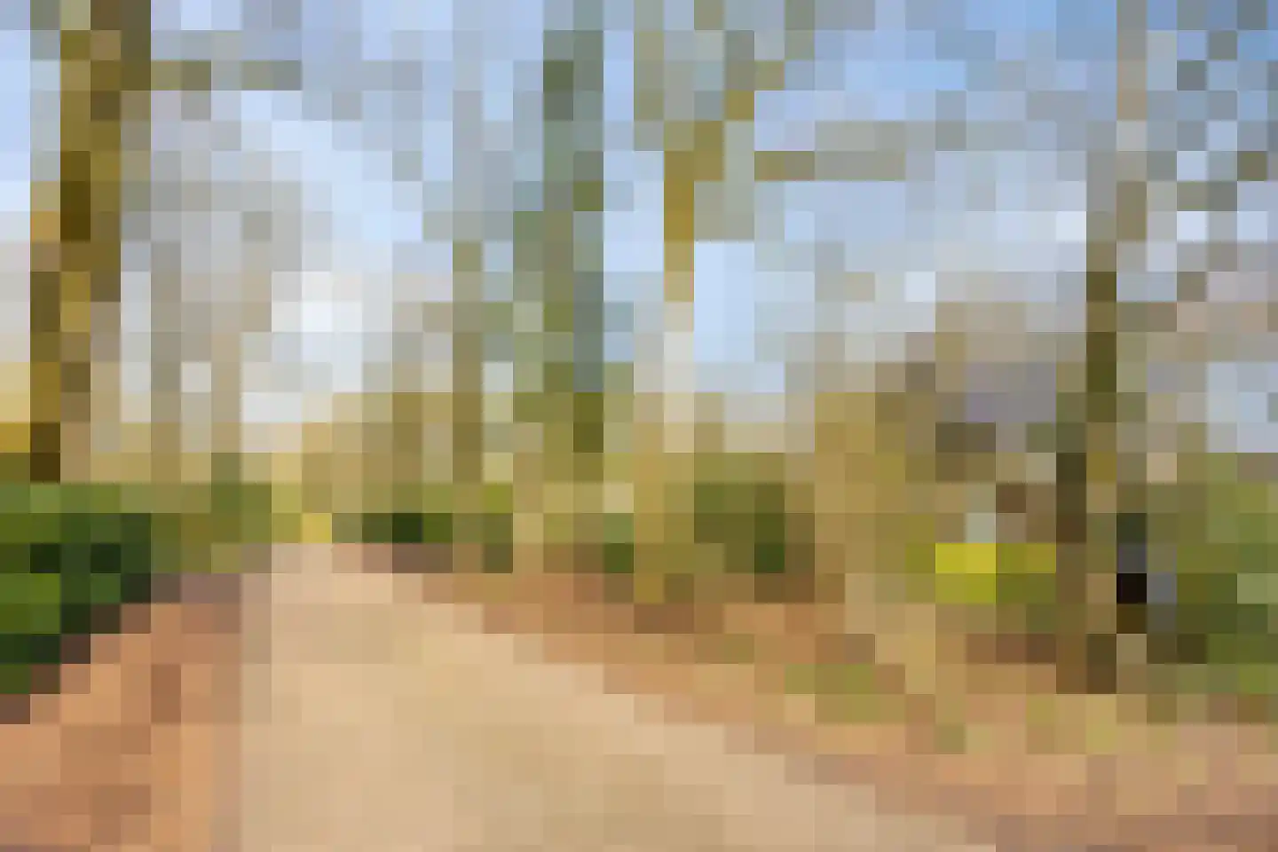 De Valouwe 51 Appelscha thumbnail 23