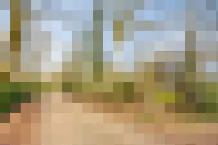 De Valouwe 51 Appelscha thumbnail 23