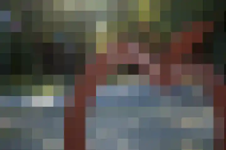 De Valouwe 51 Appelscha thumbnail 24