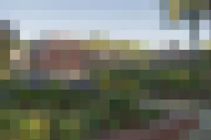 De Valouwe 51 Appelscha thumbnail 25