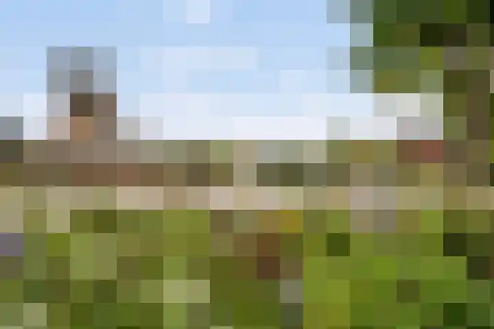 De Valouwe 51 Appelscha thumbnail 26