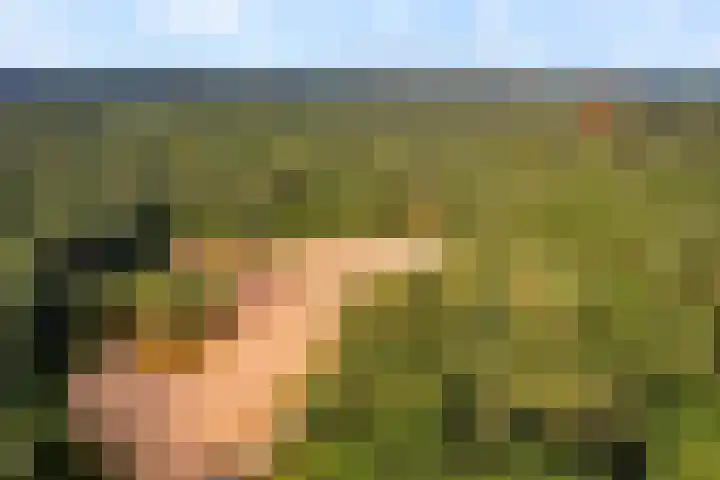 De Valouwe 51 Appelscha thumbnail 27