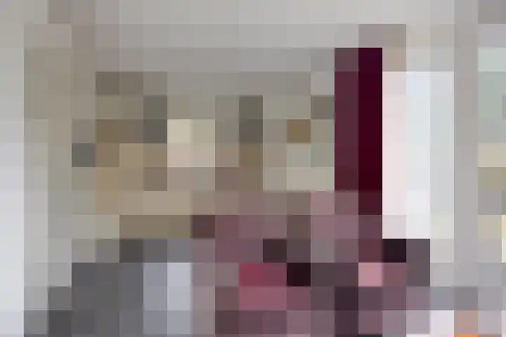 De Valouwe 51 Appelscha thumbnail 7