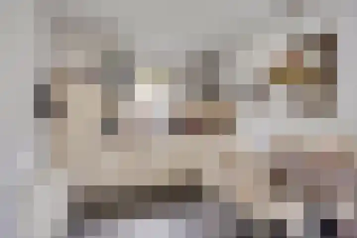 De Valouwe 51 Appelscha thumbnail 8
