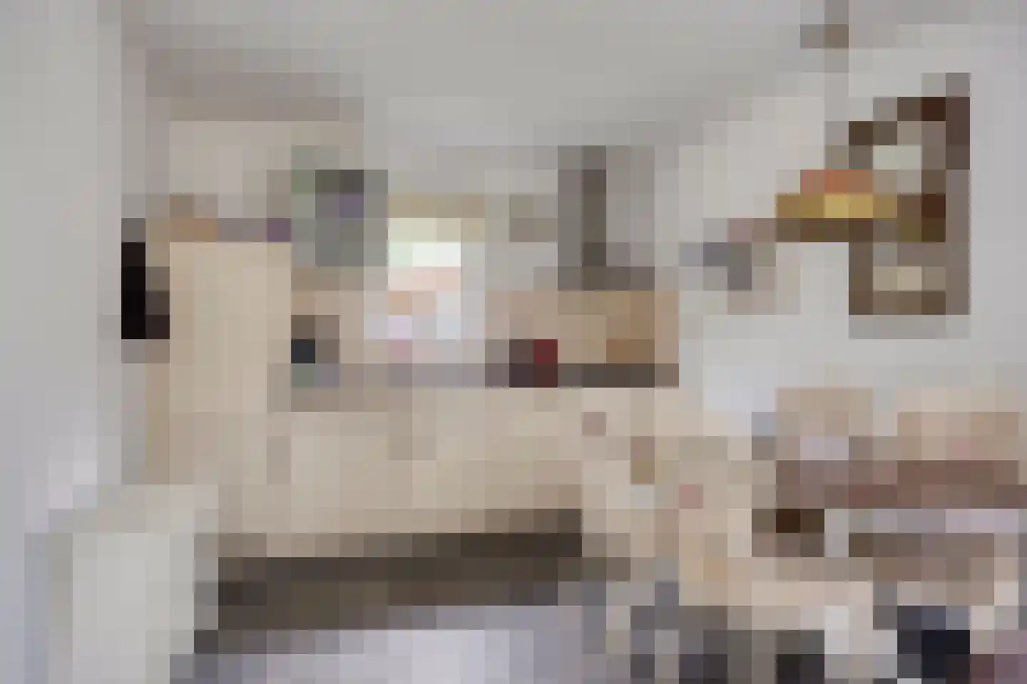 De Valouwe 51 Appelscha thumbnail 8