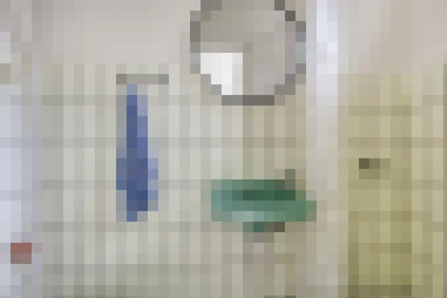 De Valouwe 53 Appelscha thumbnail 11