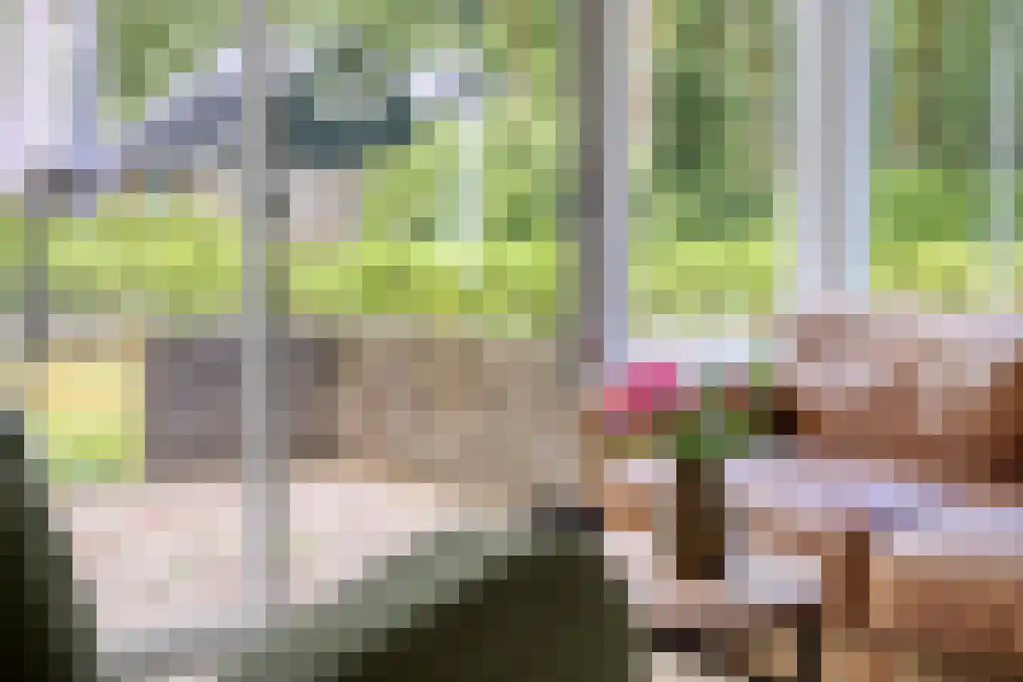 De Valouwe 53 Appelscha thumbnail 17