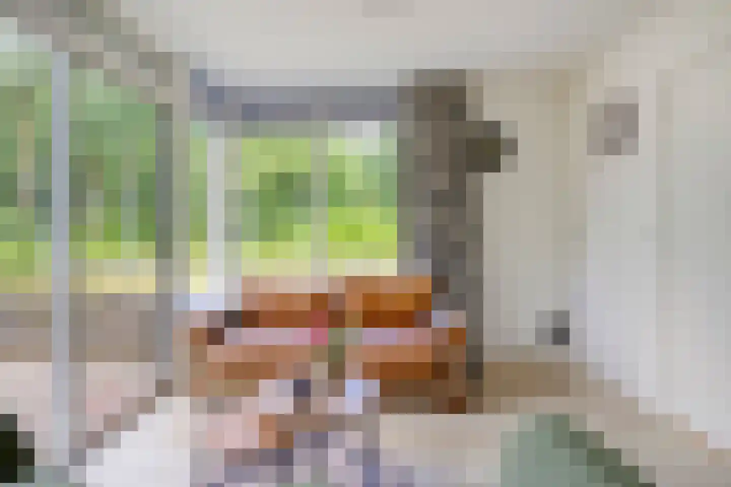 De Valouwe 53 Appelscha thumbnail 18
