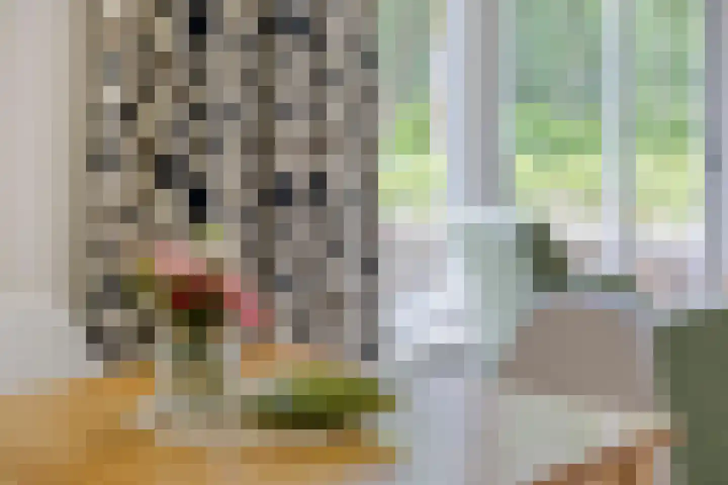 De Valouwe 53 Appelscha thumbnail 20