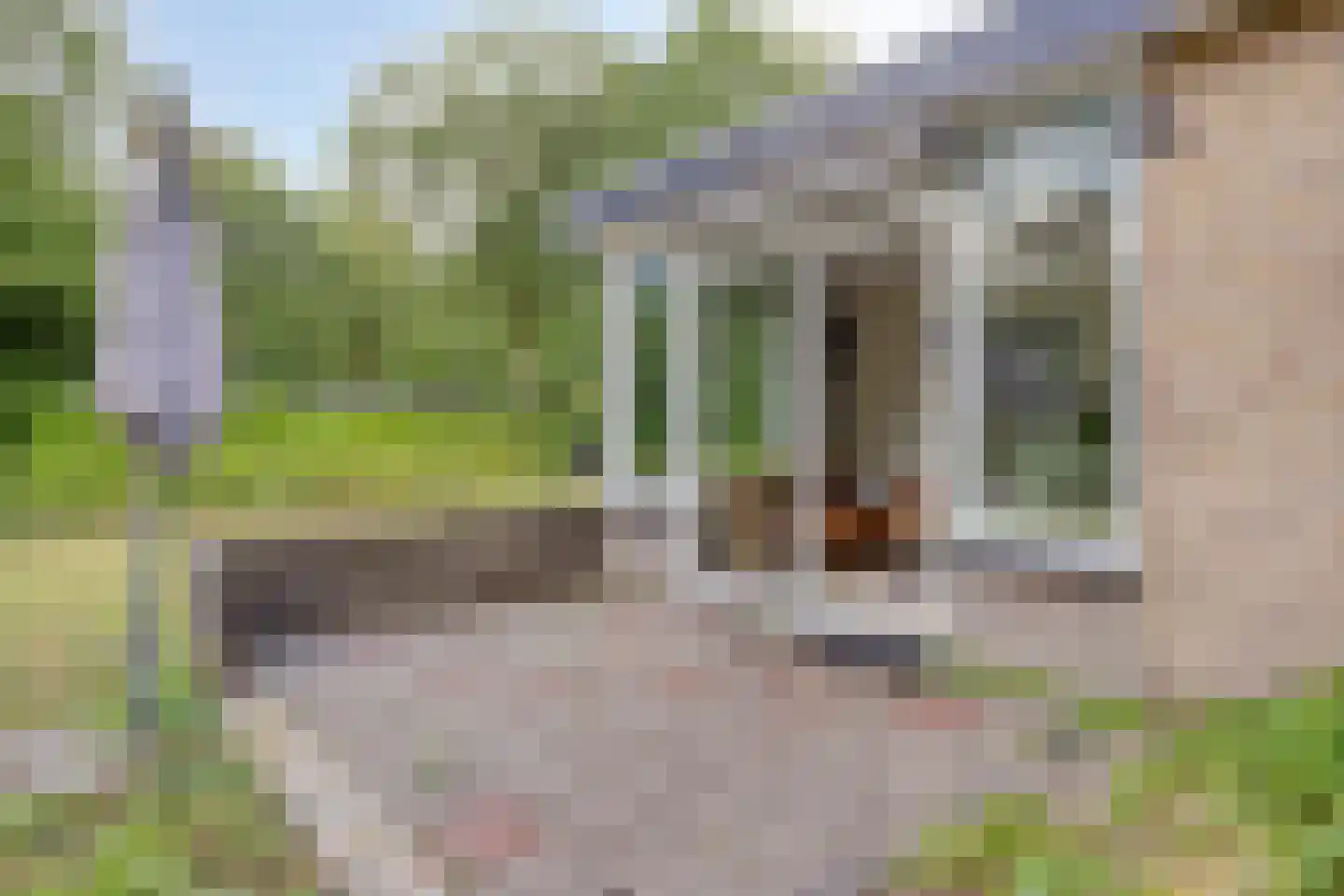 De Valouwe 53 Appelscha thumbnail 30