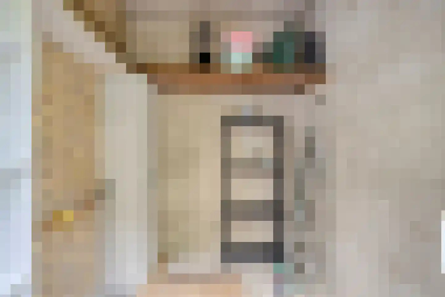 De Valouwe 53 Appelscha thumbnail 31