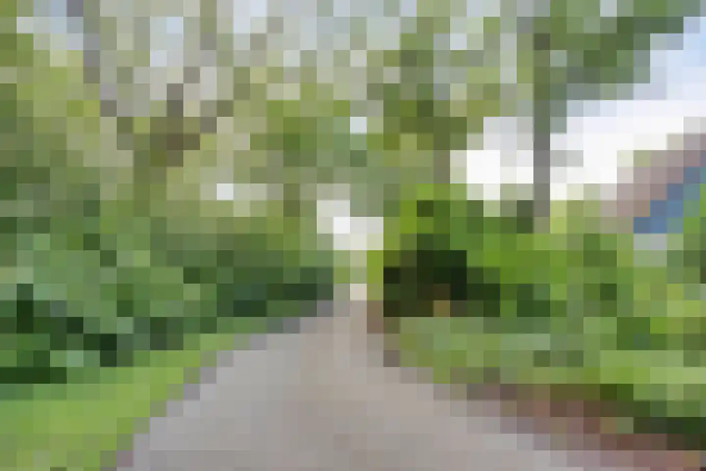 De Valouwe 53 Appelscha thumbnail 36