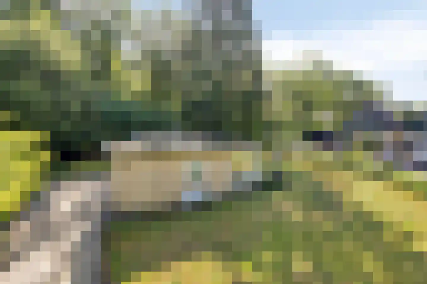 De Valouwe 53 Appelscha thumbnail 4