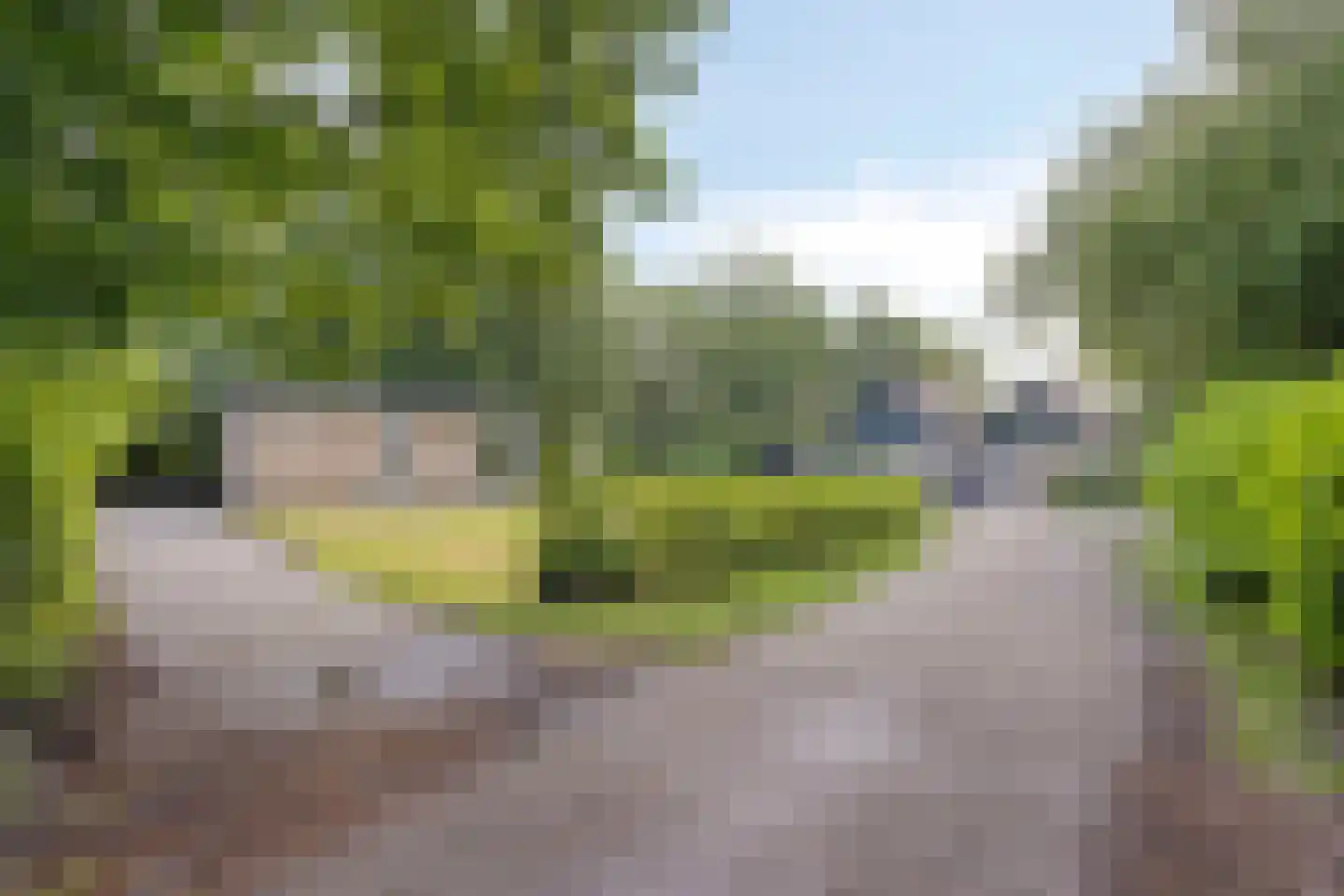 De Valouwe 53 Appelscha thumbnail 6